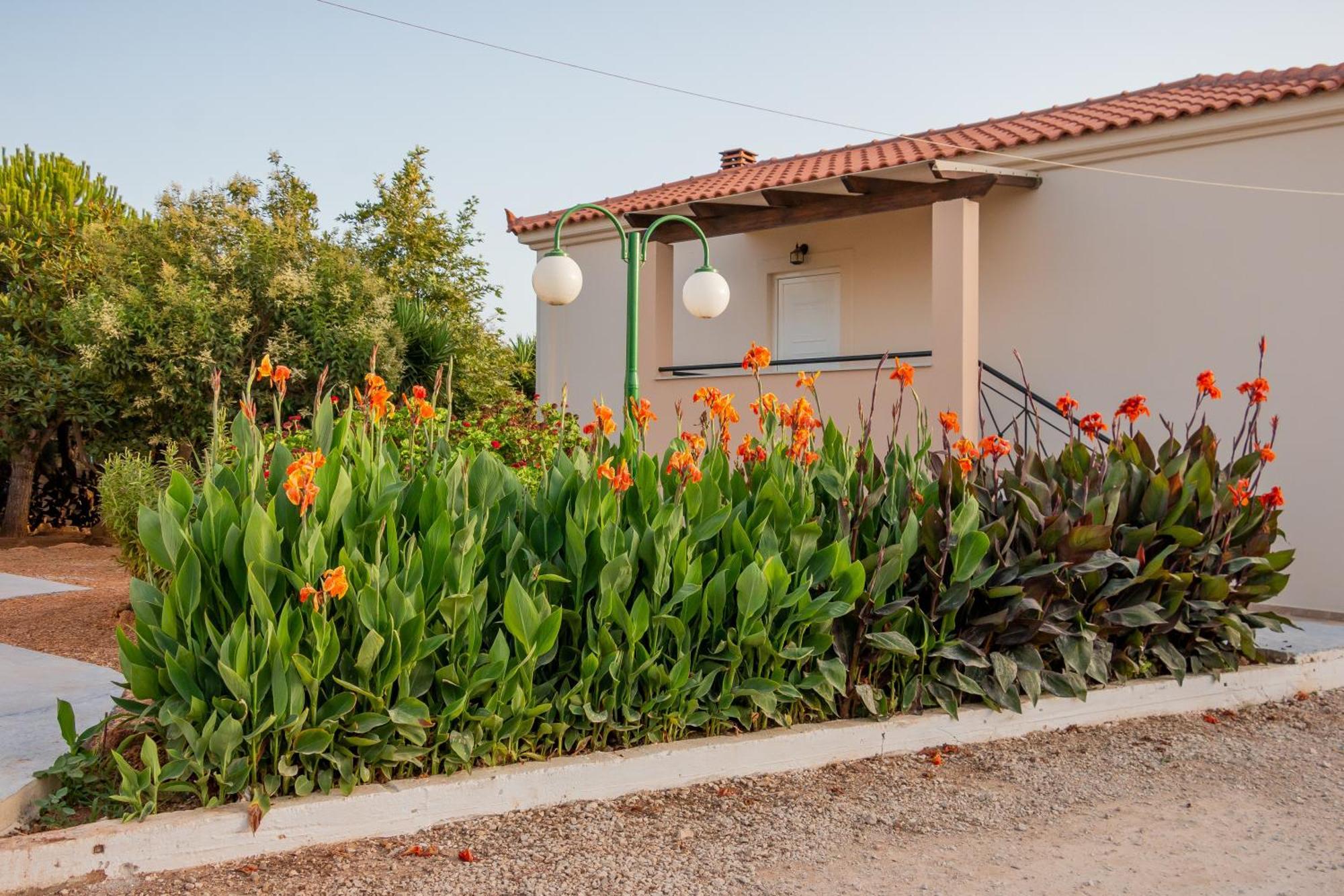 Lagouvardos Apartments Marathopoli Ngoại thất bức ảnh